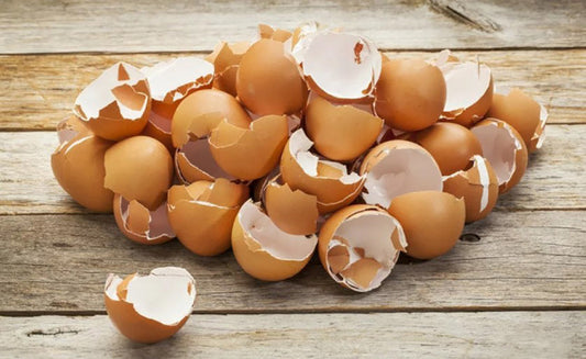 Tojáshéj: Egy Könnyen Elérhető, Természetes Segítőtárs a Ház körül